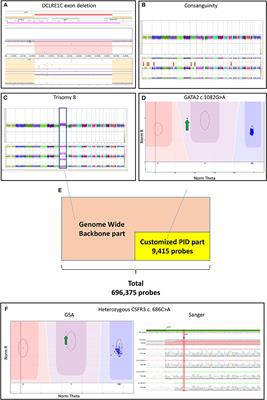 Rapid Low-Cost Microarray-Based Genotyping for Genetic Screening in Primary Immunodeficiency